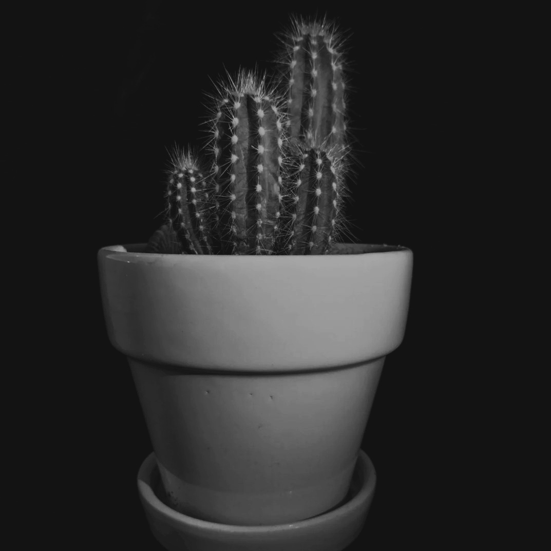 Valokuvaus keinovalolla