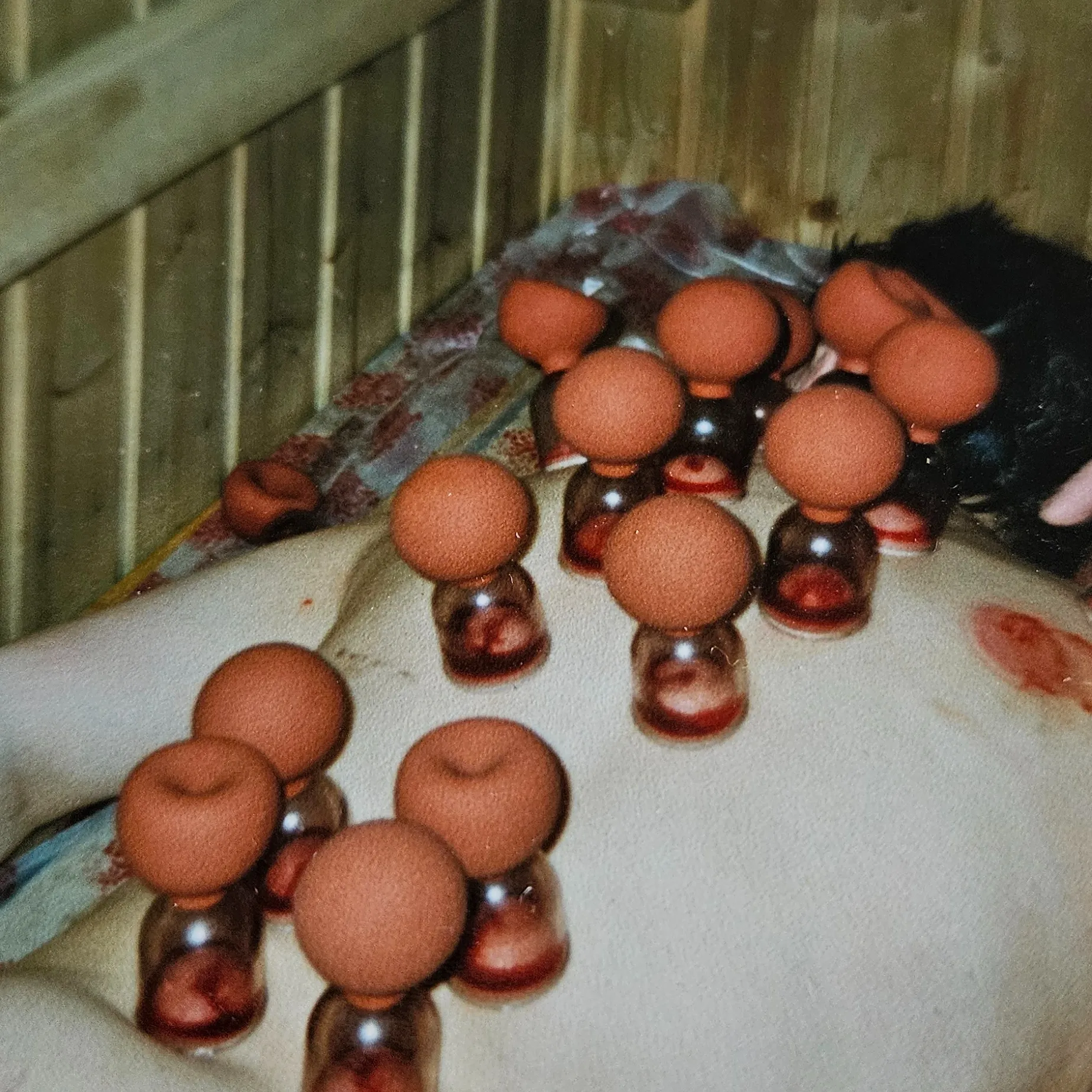 Hyvinvointipalvelut ihmisille. Erityishoitot, kuppaus, hieronnat ja fytoterapia. 
