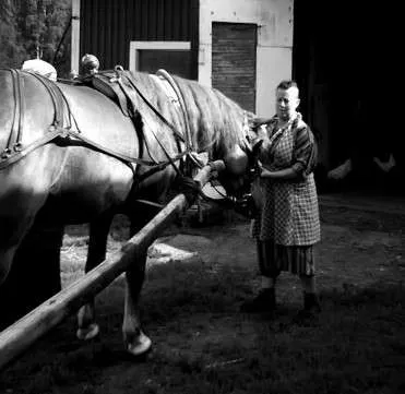 Riitun Ranch historiallinen kuva 2