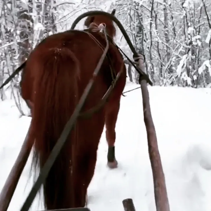 Riitun Ranch historiallinen kuva 3