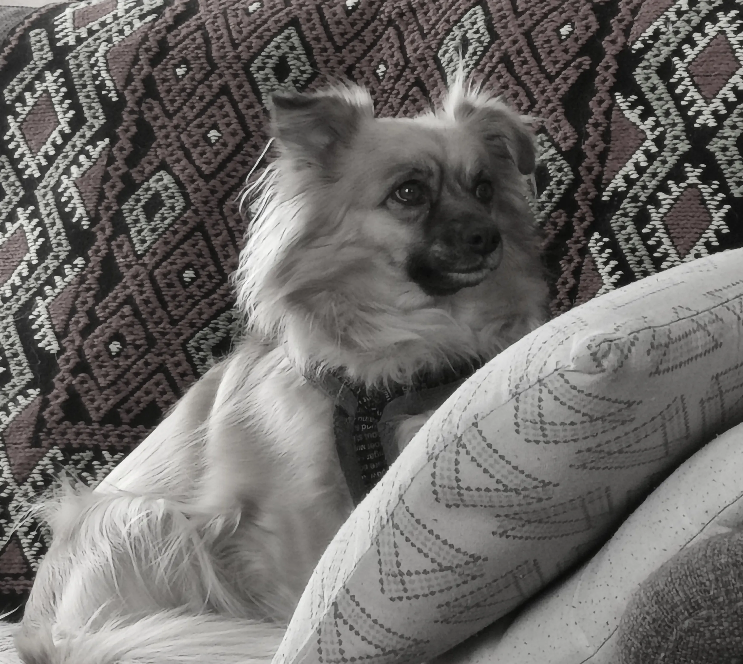 muisto